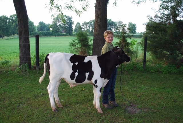 Brady Gibson with his 4-H calf